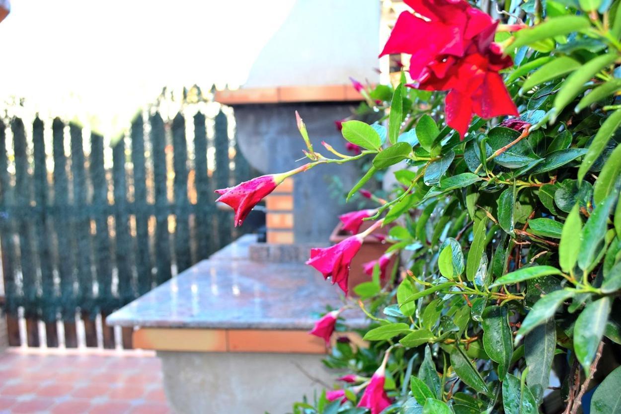Bungalow En Camping De La Manga Dış mekan fotoğraf