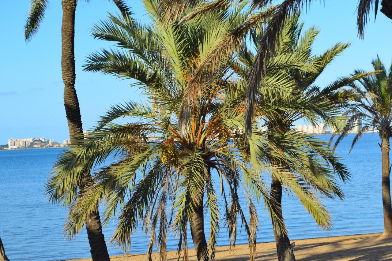 Bungalow En Camping De La Manga Dış mekan fotoğraf